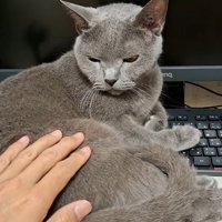 タッチ