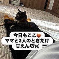 うつ伏せになる飼い主の足の間に収まっている猫