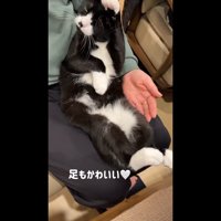 足もかわいい