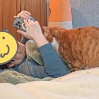 横になってスマホを触っている飼い主をすぐそばで見つめる猫