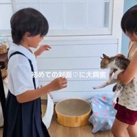猫を囲む2人の女の子