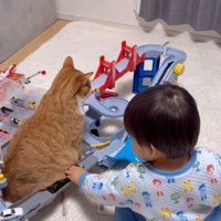 猫のお腹で停車