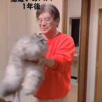 猫を抱っこして回る