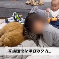 テロップ「家族団欒な～」