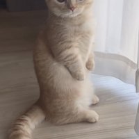 「んっ？？」のテロップ写真