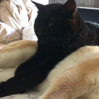 目を細める天くん