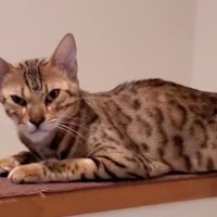 顔が伸びた？