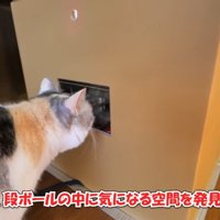 しばらくして