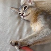 指を挟む湊くん