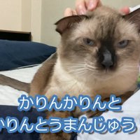 かりんとうまんじゅう