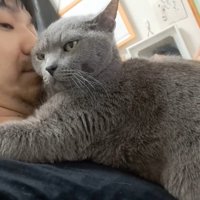 斜めを向いた姿