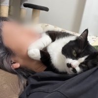 顔に前足
