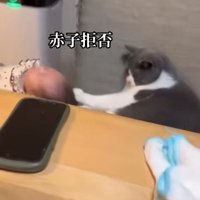 赤ちゃんの頭を前足で押している猫