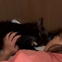 お顔を寄せ合う猫ちゃんとお姉ちゃん