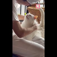 気持ち良さそうな顔