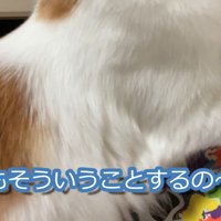 君もそういうことするの〜！