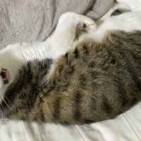 驚きの表情をするミックくん