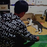 キャッチボールをする男の子と猫
