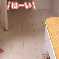 爪切りを持っている飼い主