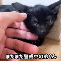 テロップ「まだまだ警戒中の～」