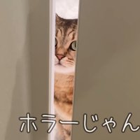 ホラーじゃん