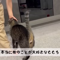 テロップ「本当に娘のことが～」