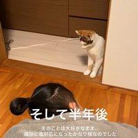 半年後