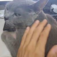 振り向くすずまろくん