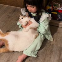 猫と遊ぶ女の子
