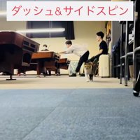 店長さんに向かって駆けてくる看板猫