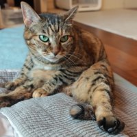 リラックスしたりんちゃん