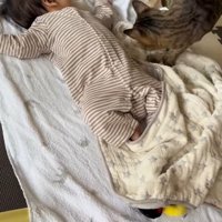 寝ている赤ちゃんのそばにきて様子をうかがう猫