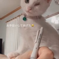任務完了