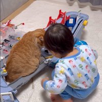 車を走らせる男の子