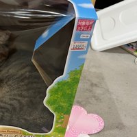 おもちゃの箱の中に見える猫の姿の一部