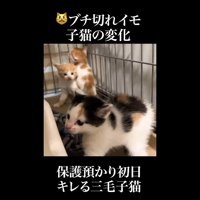 そっぽを向いた姿