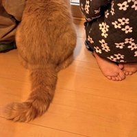 足元