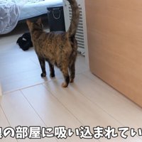 部屋に吸い込まれて