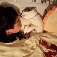 猫と寝る男の子