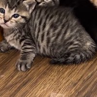 部屋の隅の様子
