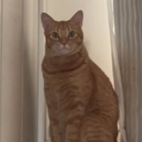 「だれ？」と書かれた写真