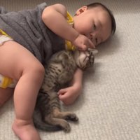 猫を抱きしめる赤ちゃん