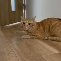 目がまんまる