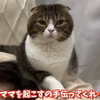 かわいく見つめるぽこ太郎くん