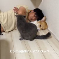犬と猫と寝ている飼い主と仲間に入りたくて近くに座る猫