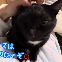 テロップ「ママは僕の～」