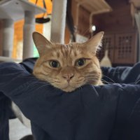 くつろぐゆたくん