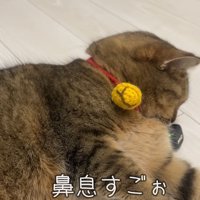 鼻息すごぉ