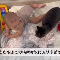 目を合わせるふたり
