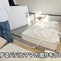 テロップ「作業する～」